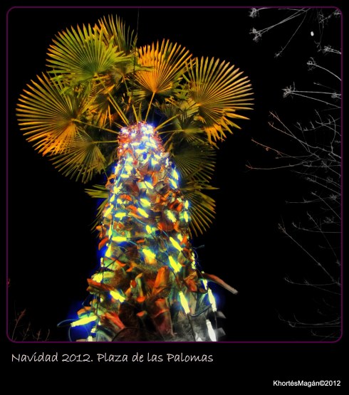 121221 Gx Nch EAAOA d Pícaro EXp xKhortés 215