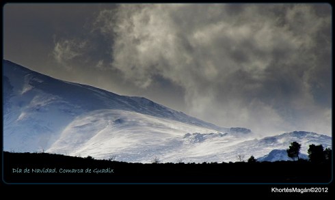 121225 Nv S Nevd Hrta xKhortés 021