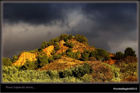 121225 Nv Sol  S Nevd Hrta xKhortés 005 (6)-001