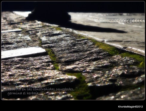 121229  GX clle Cmerc xKhortés 006