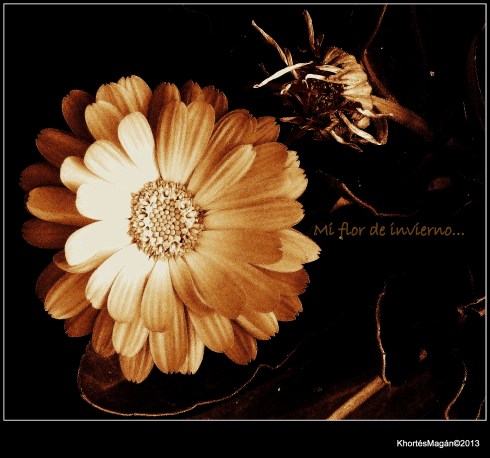 121231 GX clljon Amargura &  EXf Hrta xKhortés 004-003