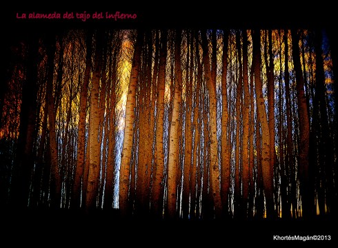 130102 GX  crrtra Exfln Alcd xKhortés 044-001