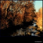 130106 GX & Cuevas Rio puent exfln xKhortés&nbsp;106