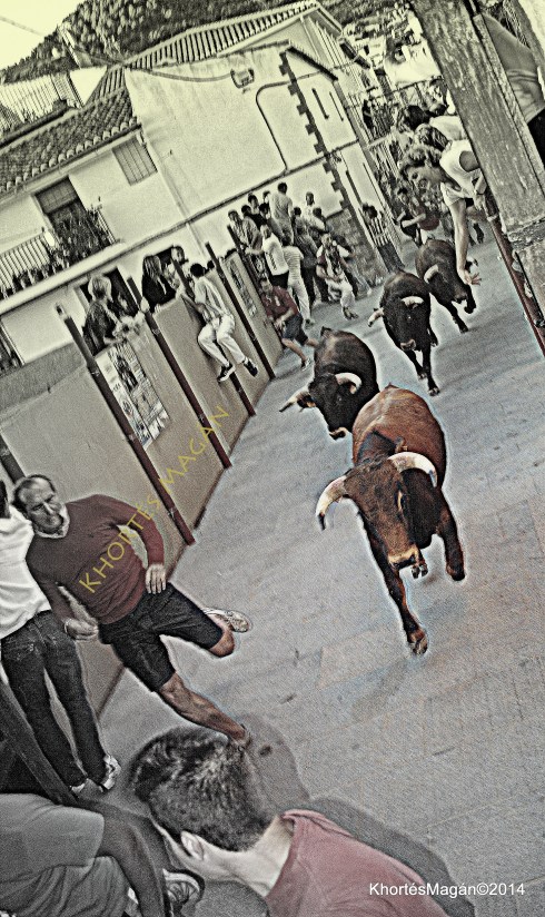 140808 Encierros GOR14 & con R.Pícaro sttn gor sttn xKhortés 031