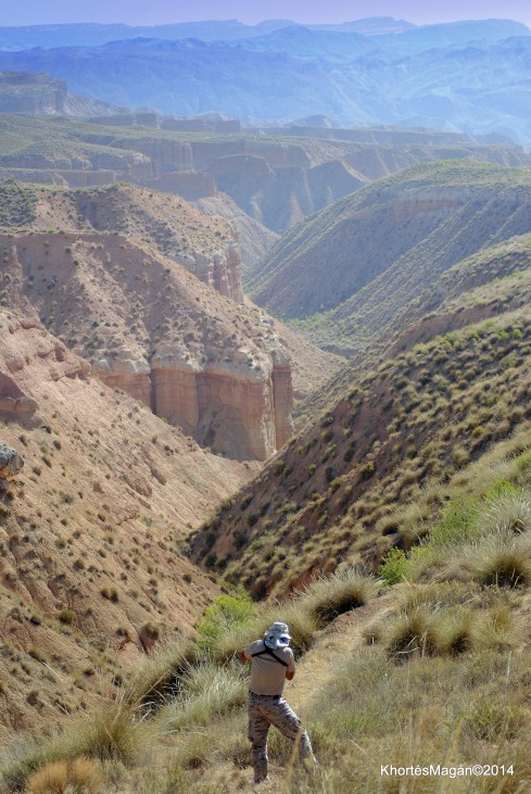 Noche en el desierto